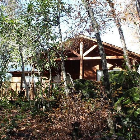 Cabana Bosque Viejo Villa Las Trancas Buitenkant foto