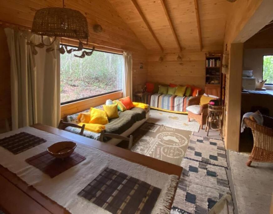 Cabana Bosque Viejo Villa Las Trancas Buitenkant foto
