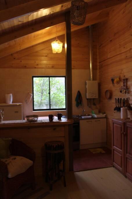 Cabana Bosque Viejo Villa Las Trancas Buitenkant foto