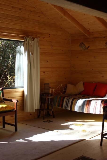 Cabana Bosque Viejo Villa Las Trancas Buitenkant foto