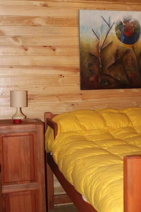 Cabana Bosque Viejo Villa Las Trancas Buitenkant foto