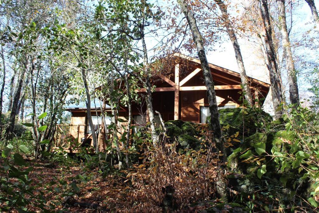 Cabana Bosque Viejo Villa Las Trancas Buitenkant foto