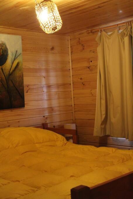 Cabana Bosque Viejo Villa Las Trancas Buitenkant foto